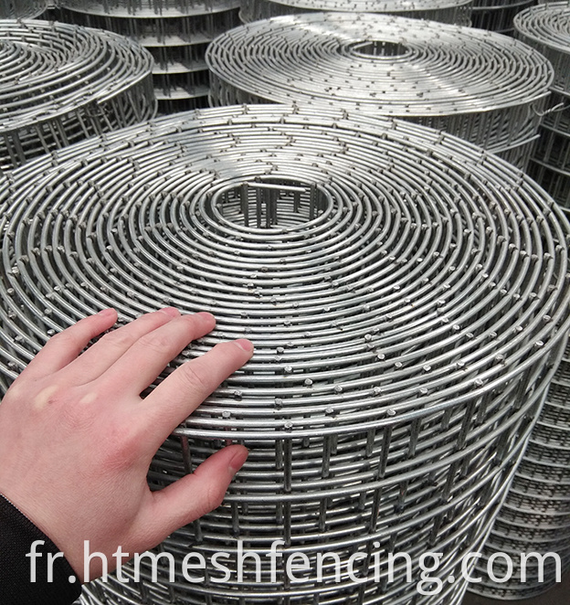 10 calibre 16 GAUGE Escripteur soudé Net Galvanize Metal Iron Wire Mesh For Animan Fence